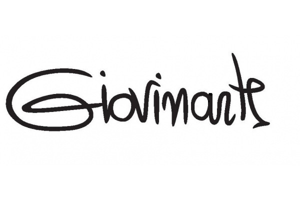 GIOVINARTE Srl