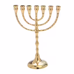 Menora H 25 cm