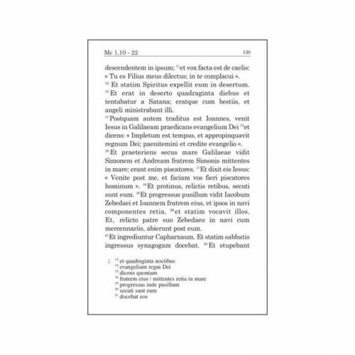 NOVUM TESTAMENTUM ET PSALTERIUM - w Języku Łacińskim
