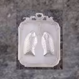 Ex-Voto Płuca