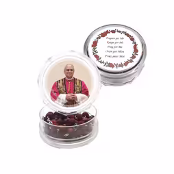 Rosario petalo di rosa con scatola Papa Leone XIV